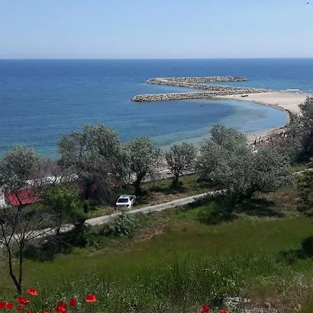 Casa Andreea 게스트하우스 3*