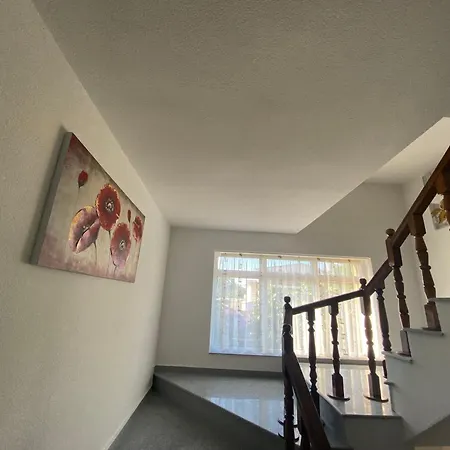 Casa Andreea Pensiune 3*